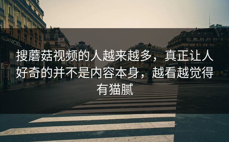 搜蘑菇视频的人越来越多,真正让人好奇的并不是内容本身,越看越觉得有猫腻 搜蘑菇视频的人越来越多,真正让人好奇的并不是内容本身,越看越觉得有猫腻