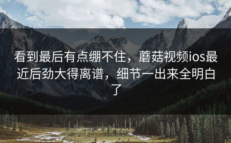看到最后有点绷不住，蘑菇视频ios最近后劲大得离谱，细节一出来全明白了