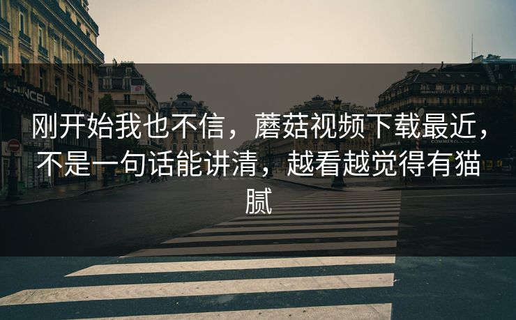 刚开始我也不信，蘑菇视频下载最近，不是一句话能讲清，越看越觉得有猫腻