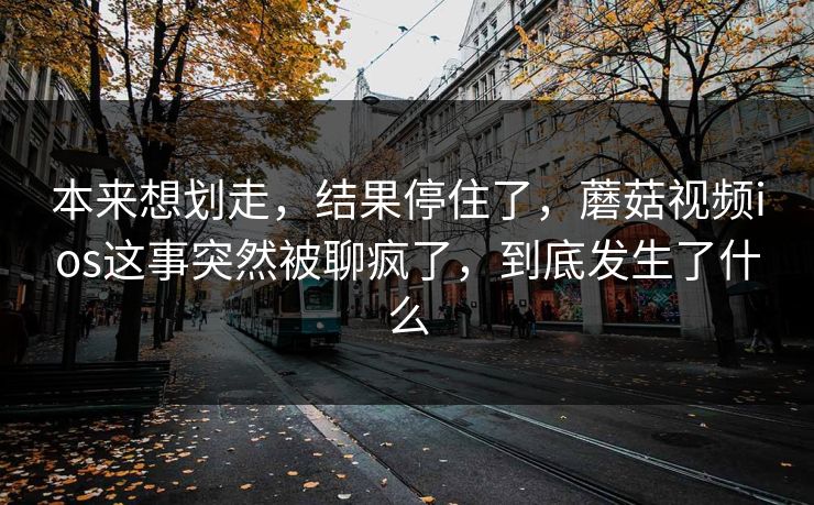 本来想划走，结果停住了，蘑菇视频ios这事突然被聊疯了，到底发生了什么