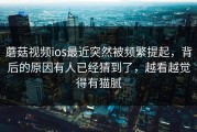 蘑菇视频ios最近突然被频繁提起，背后的原因有人已经猜到了，越看越觉得有猫腻