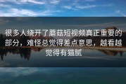 很多人绕开了蘑菇短视频真正重要的部分，难怪总觉得差点意思，越看越觉得有猫腻