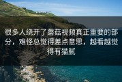 很多人绕开了蘑菇视频真正重要的部分，难怪总觉得差点意思，越看越觉得有猫腻