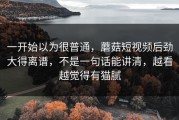 一开始以为很普通，蘑菇短视频后劲大得离谱，不是一句话能讲清，越看越觉得有猫腻