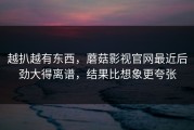 越扒越有东西，蘑菇影视官网最近后劲大得离谱，结果比想象更夸张