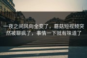 一夜之间风向全变了，蘑菇短视频突然被聊疯了，事情一下就有味道了