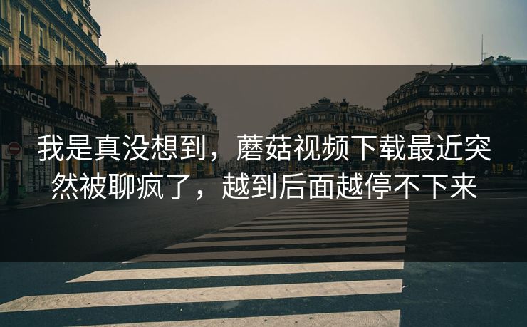 我是真没想到,蘑菇视频下载最近突然被聊疯了,越到后面越停不下来 我是真没想到,蘑菇视频下载最近突然被聊疯了,越到后面越停不下来