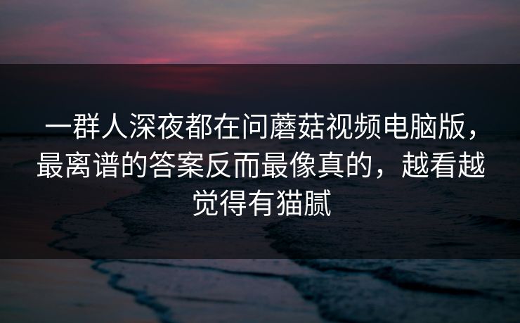 一群人深夜都在问蘑菇视频电脑版，最离谱的答案反而最像真的，越看越觉得有猫腻