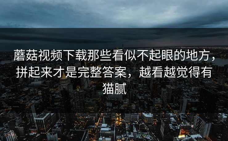 蘑菇视频下载那些看似不起眼的地方，拼起来才是完整答案，越看越觉得有猫腻