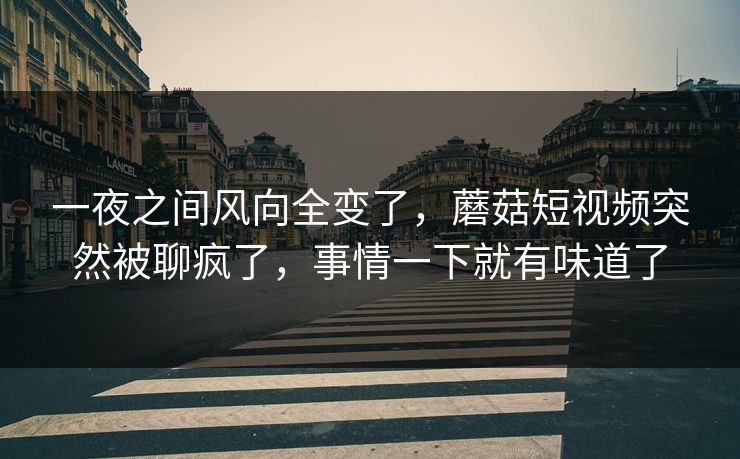 一夜之间风向全变了，蘑菇短视频突然被聊疯了，事情一下就有味道了