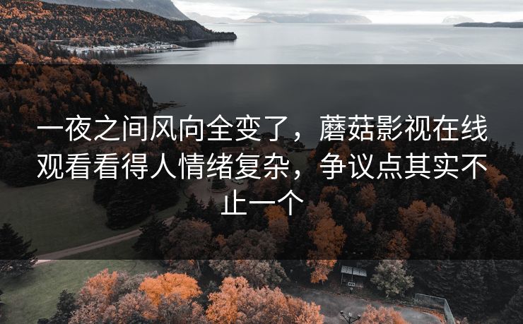 一夜之间风向全变了，蘑菇影视在线观看看得人情绪复杂，争议点其实不止一个