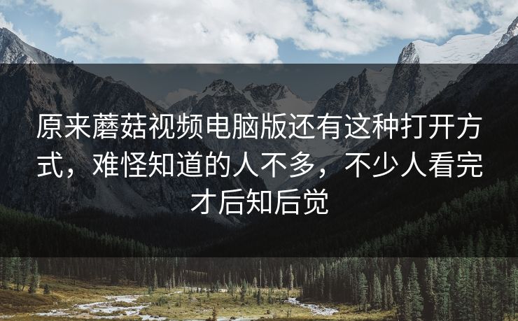 原来蘑菇视频电脑版还有这种打开方式，难怪知道的人不多，不少人看完才后知后觉