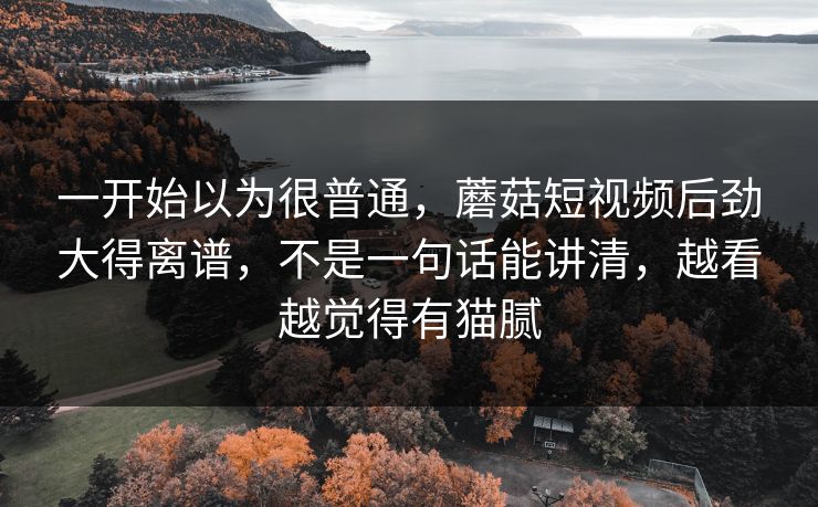 一开始以为很普通，蘑菇短视频后劲大得离谱，不是一句话能讲清，越看越觉得有猫腻