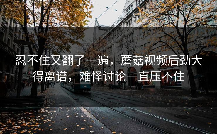 忍不住又翻了一遍，蘑菇视频后劲大得离谱，难怪讨论一直压不住
