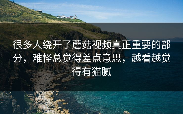 很多人绕开了蘑菇视频真正重要的部分,难怪总觉得差点意思,越看越觉得有猫腻 很多人绕开了蘑菇视频真正重要的部分,难怪总觉得差点意思,越看越觉得有猫腻