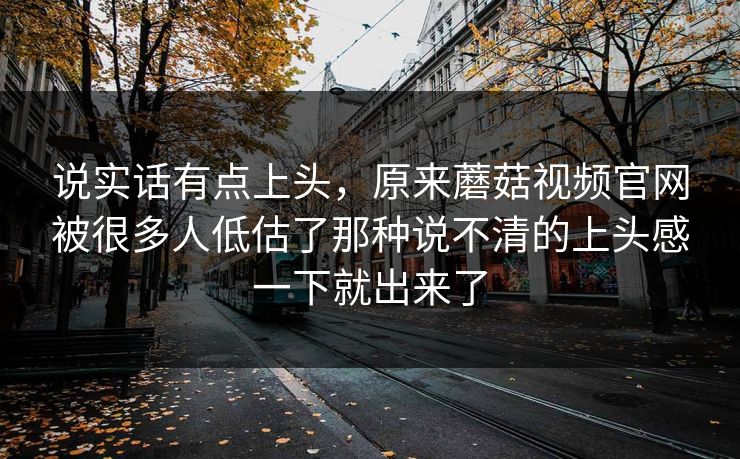 说实话有点上头，原来蘑菇视频官网被很多人低估了那种说不清的上头感一下就出来了