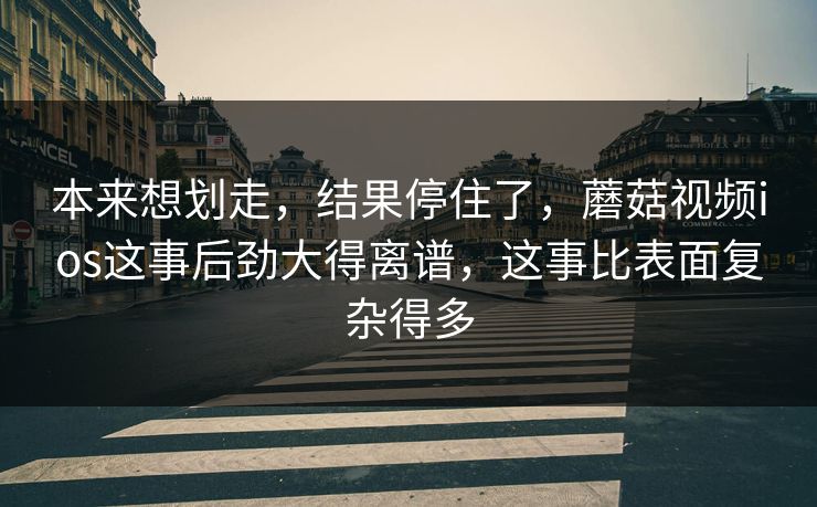 本来想划走,结果停住了,蘑菇视频ios这事后劲大得离谱,这事比表面复杂得多 本来想划走,结果停住了,蘑菇视频ios这事后劲大得离谱,这事比表面复杂得多